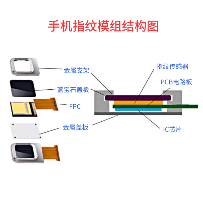 手機(jī)指紋模組結(jié)構(gòu)圖